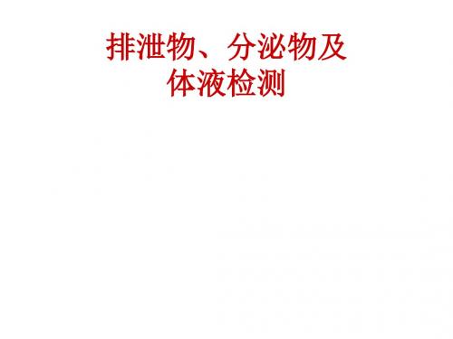 尿液检查   演示文稿
