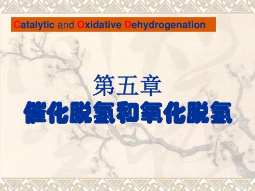 四有机化工产品加氢和脱氢