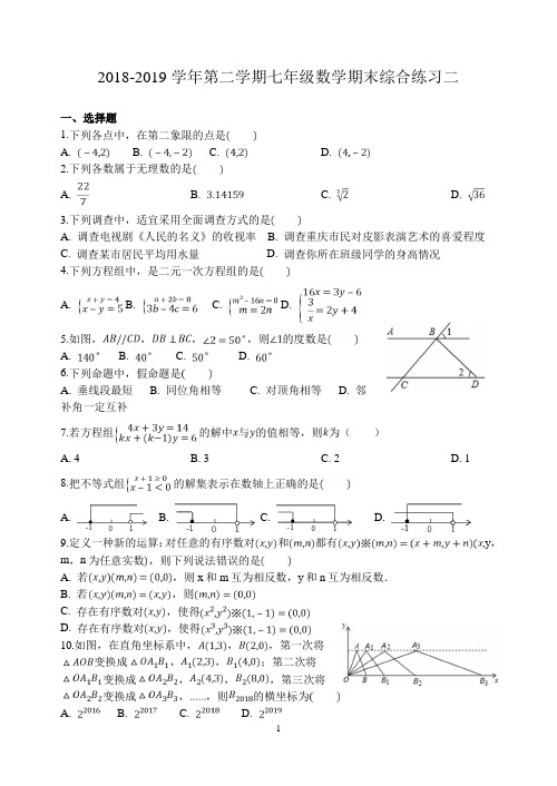 2018-2019学年第二学期七年级数学期末综合练习及参考答案(02)