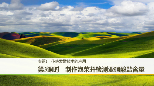 2019_2020学年同步备课套餐之生物人教版选修1课件：专题1 传统发酵技术的应用 第3课时 