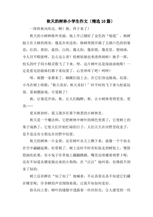 秋天的树林小学生作文(精选10篇)精选