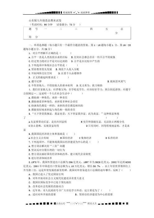 山东版九年级思品期末试卷