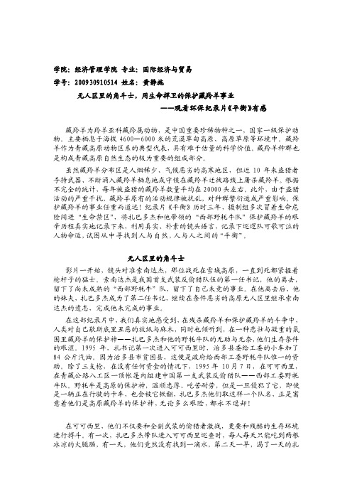 [整理]《平衡》观后感