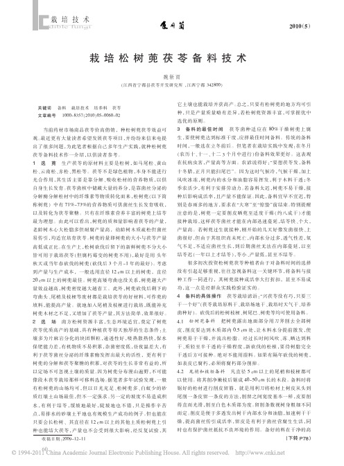 栽培松树蔸茯苓备料技术