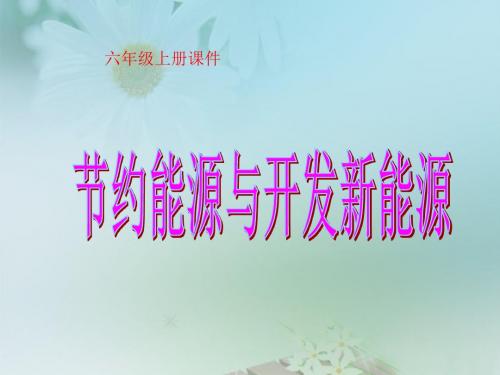 (节约能源与开发新能源)苏教版六年级科学下册课件