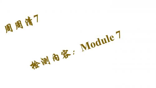 新外研版九年级英语下册Module 7课件