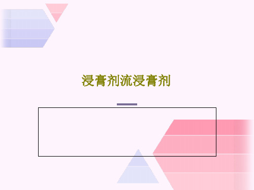 浸膏剂流浸膏剂19页PPT