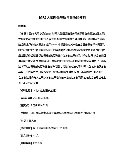 MRI大脑图像灰质与白质的分割