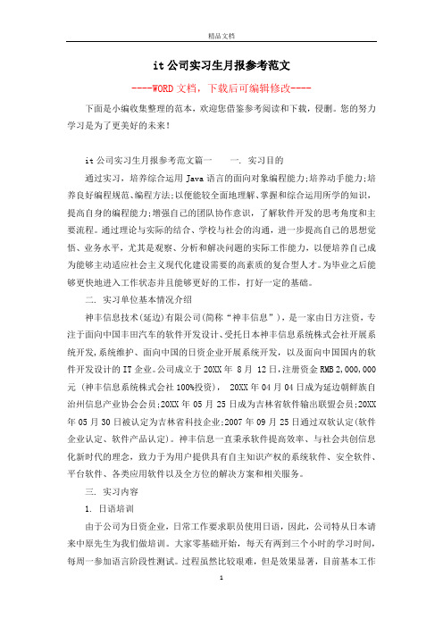 it公司实习生月报参考范文