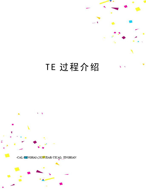 TE过程介绍