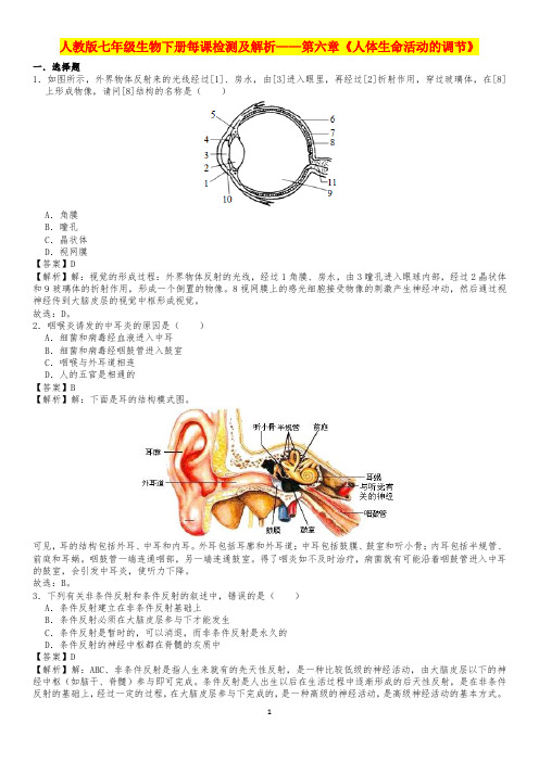 人教版七年级生物下册每课检测及解析——第六章《人体生命活动的调节》