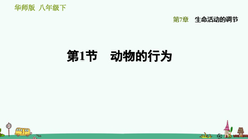 《动物的行为》习题课件 华师版科学八下