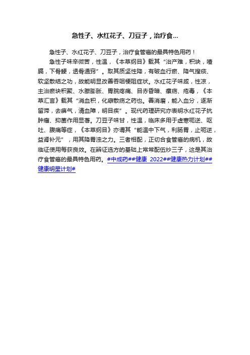 急性子、水红花子、刀豆子，治疗食...