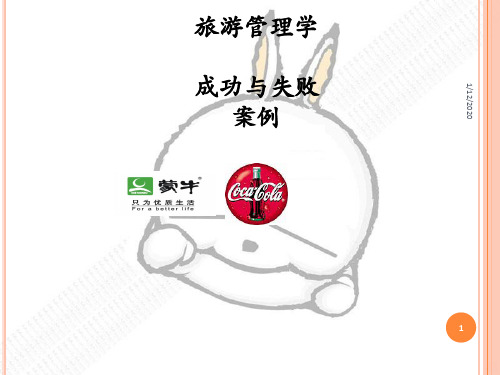 成功与失败PPT课件