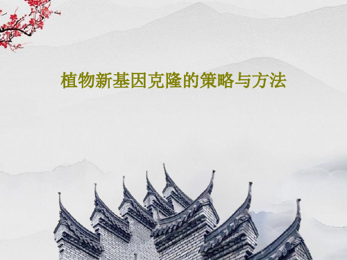 植物新基因克隆的策略与方法共63页文档