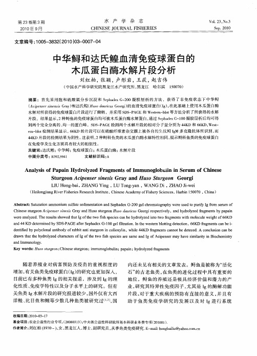 中华鲟和达氏鳇血清免疫球蛋白的木瓜蛋白酶水解片段分析
