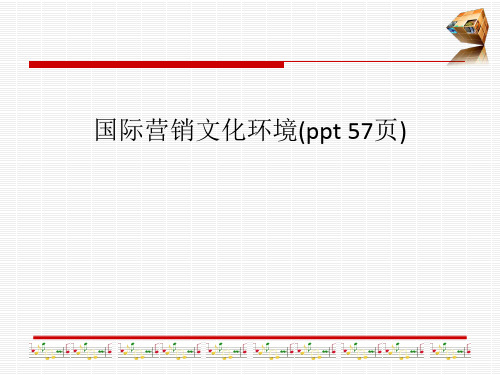 国际营销文化环境
