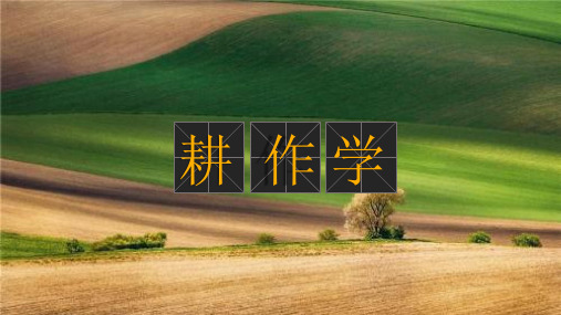 02-土壤耕作措施——表土耕作措施讲义