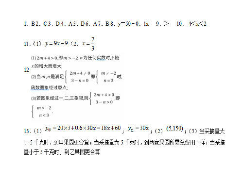 与一次函数有关的面积问题-山东省武城县人教版八年级数学下册专题学习课件 4.30 (共21张PPT)