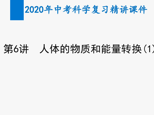 2020年中考科学复习精讲课件第6讲  人体的物质和能量转换(1)
