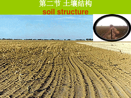 西北农林科技大学土壤学6.2