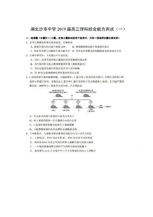 湖北省沙市中学2019届高三上学期能力测试(一)理综生物试题 扫描版含答案