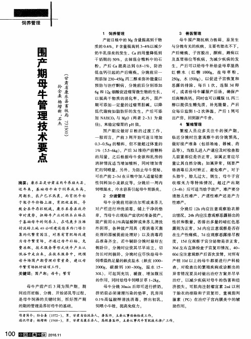 围产期母牛管理技术要点