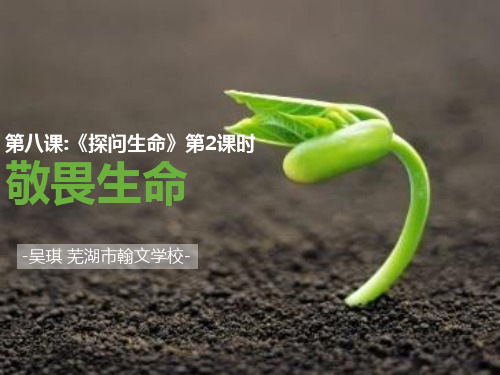 部编版政治第八课第二节《敬畏生命》 PPT (12)
