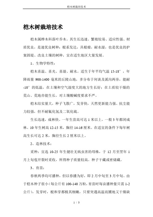 桤木树栽培技术