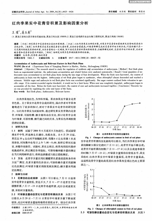 红肉李果实中花青苷积累及影响因素分析