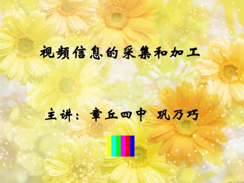 视频信息的采集与加工