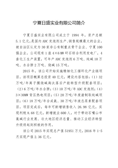宁夏日盛实业有限公司简介