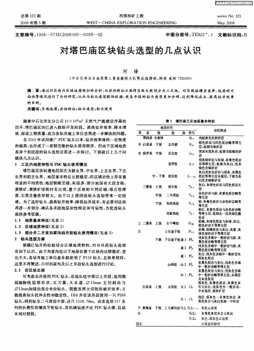 对塔巴庙区块钻头选型的几点认识