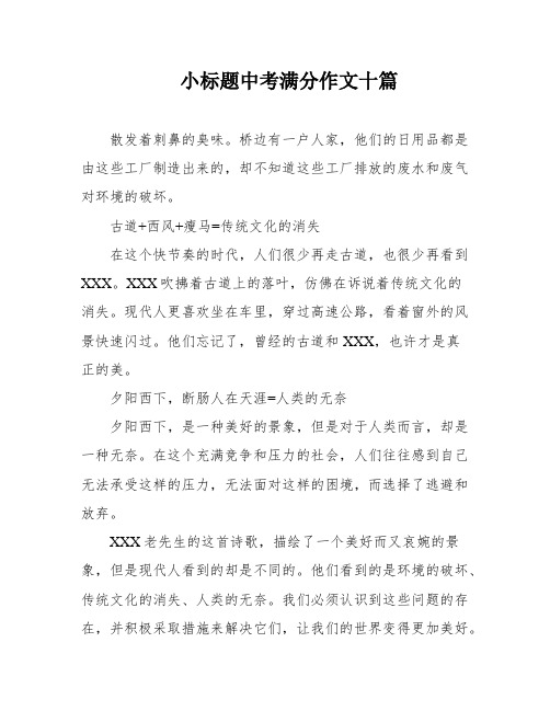 小标题中考满分作文十篇