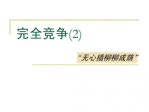 南京大学微观经济学讲义完全竞争二