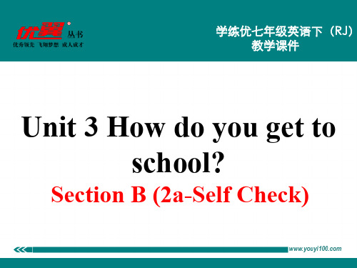 Section B 第二课时
