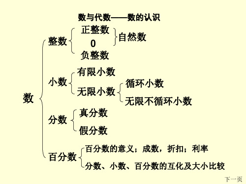 数的认识