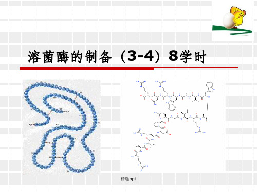 溶菌酶的制备实验