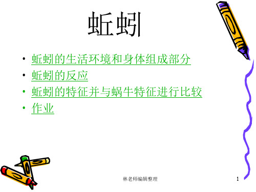 教科小学科学三上《2.4、蚯蚓》PPT课件(13)