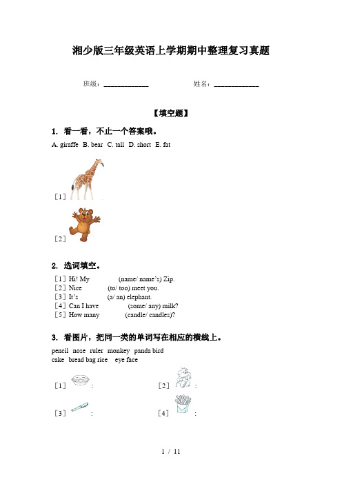 湘少版三年级英语上学期期中整理复习真题