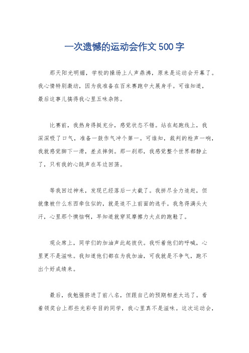 一次遗憾的运动会作文500字