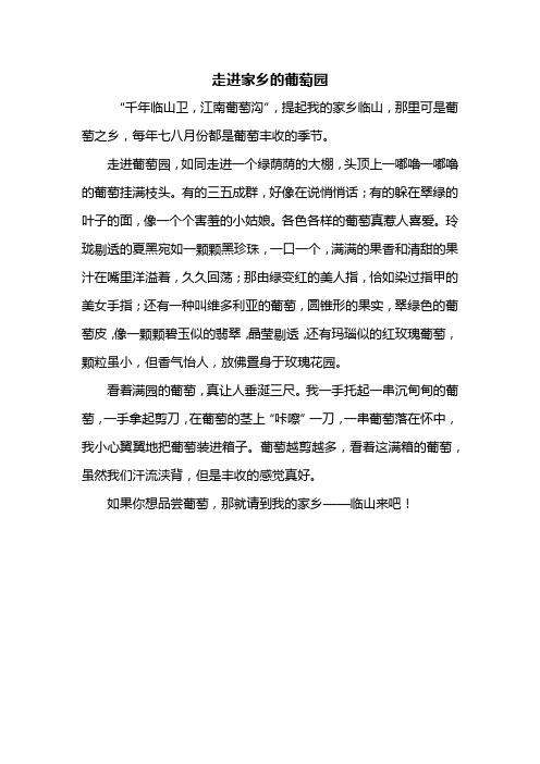 三年级作文：走进家乡的葡萄园作文400字