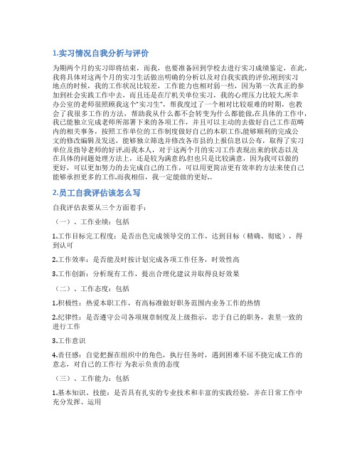 公司自我评价分析表