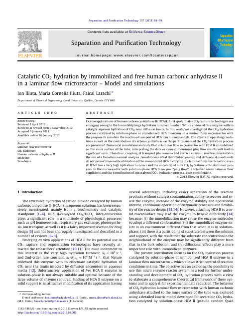 Catalytic CO2 hydration by immobilized and free human carbonic anhydrase II