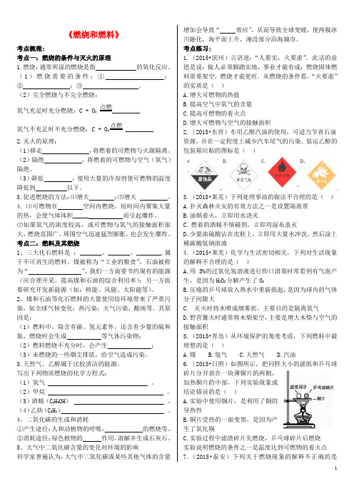 山东省泰安市九年级化学上册 6.1 燃烧与灭火 燃烧与燃