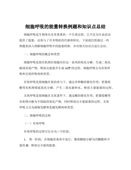 细胞呼吸的能量转换例题和知识点总结