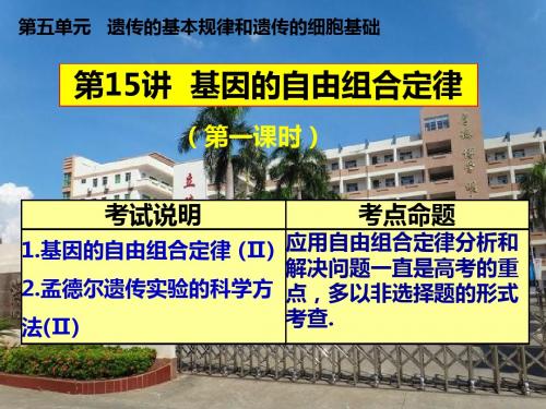 2019年高三生物一轮复习自由组合定律高三第一轮复习(公开课)教学课件 (共18张PPT)