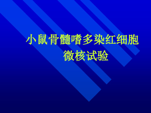 细胞生物实验：微核实验