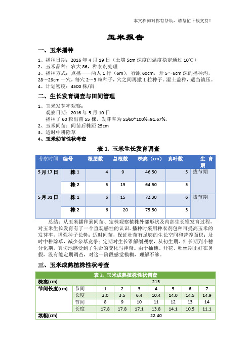 田间实验报告玉米报告