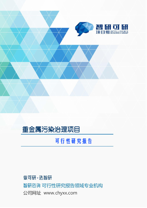 重金属污染治理项目可行性研究报告